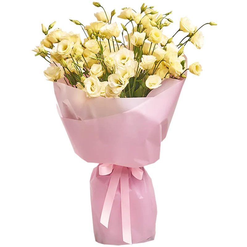 Букет из 11 кремовых эустом