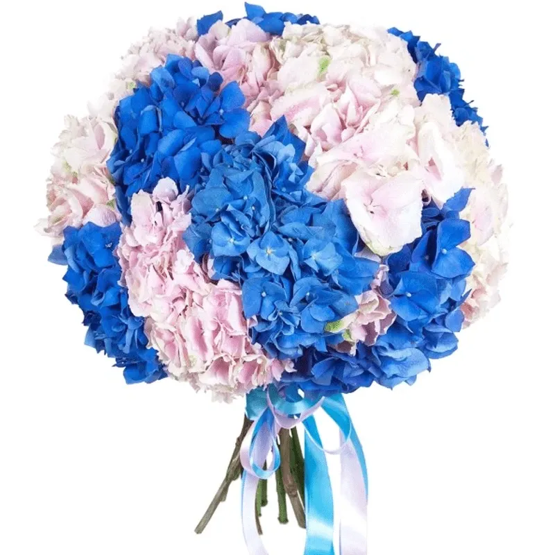 Гортензии микс