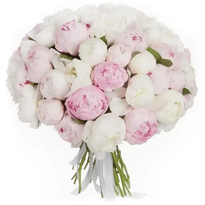 Пион микс №1