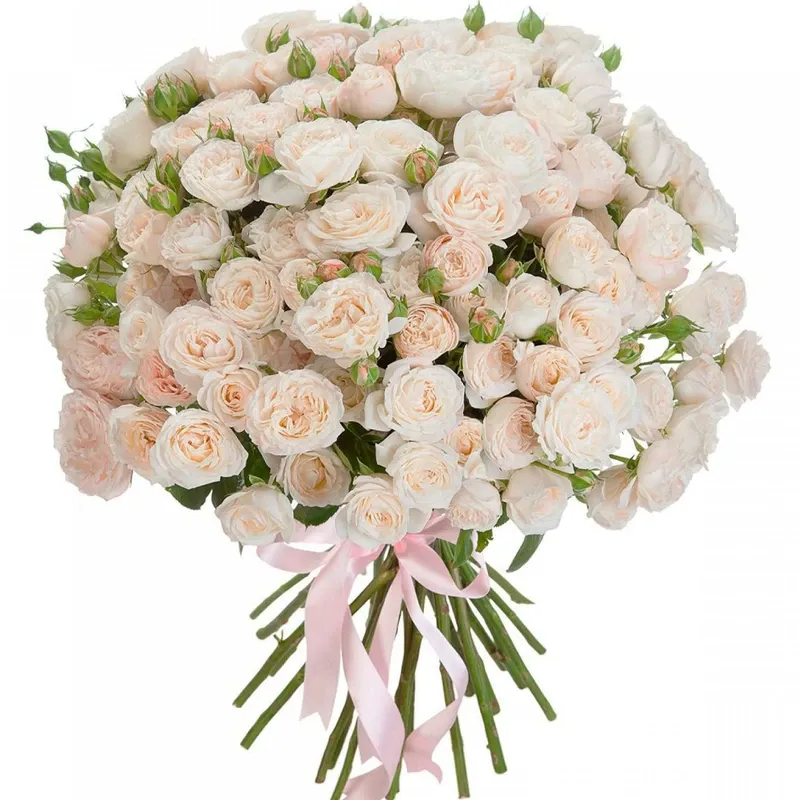 Розы Пионовидные кремовые